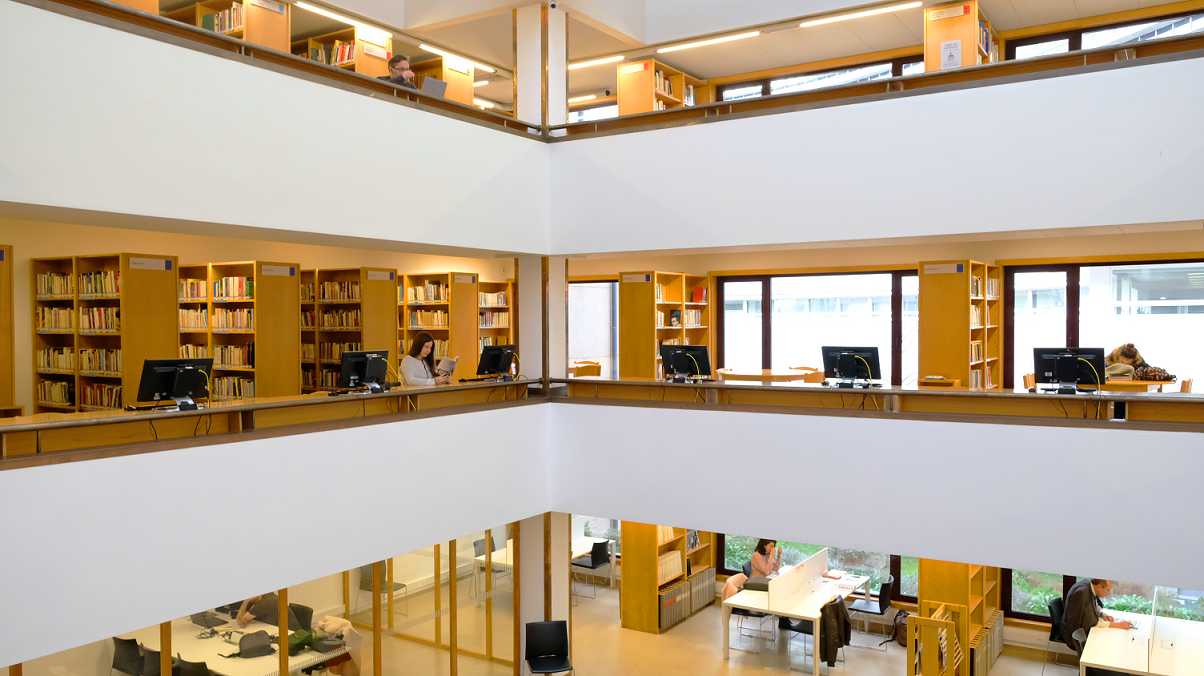 Vem conhecer a tua Biblioteca - junho